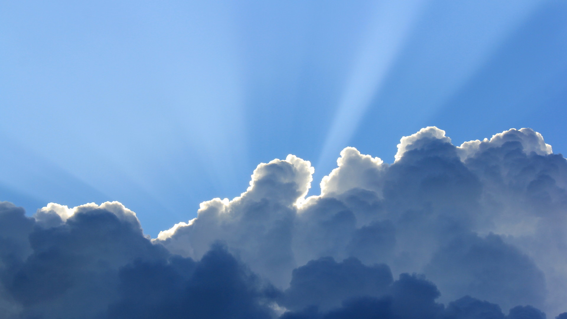 Publications, reports and video's of Wetlands International