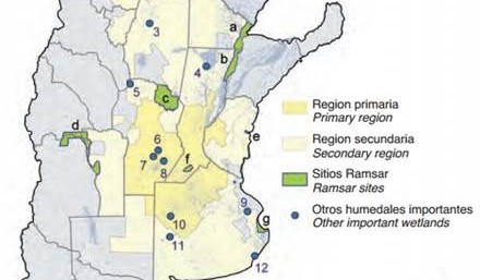 wetlands and soy in Argentina