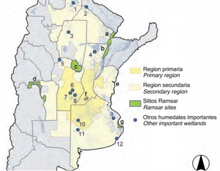 wetlands and soy in Argentina