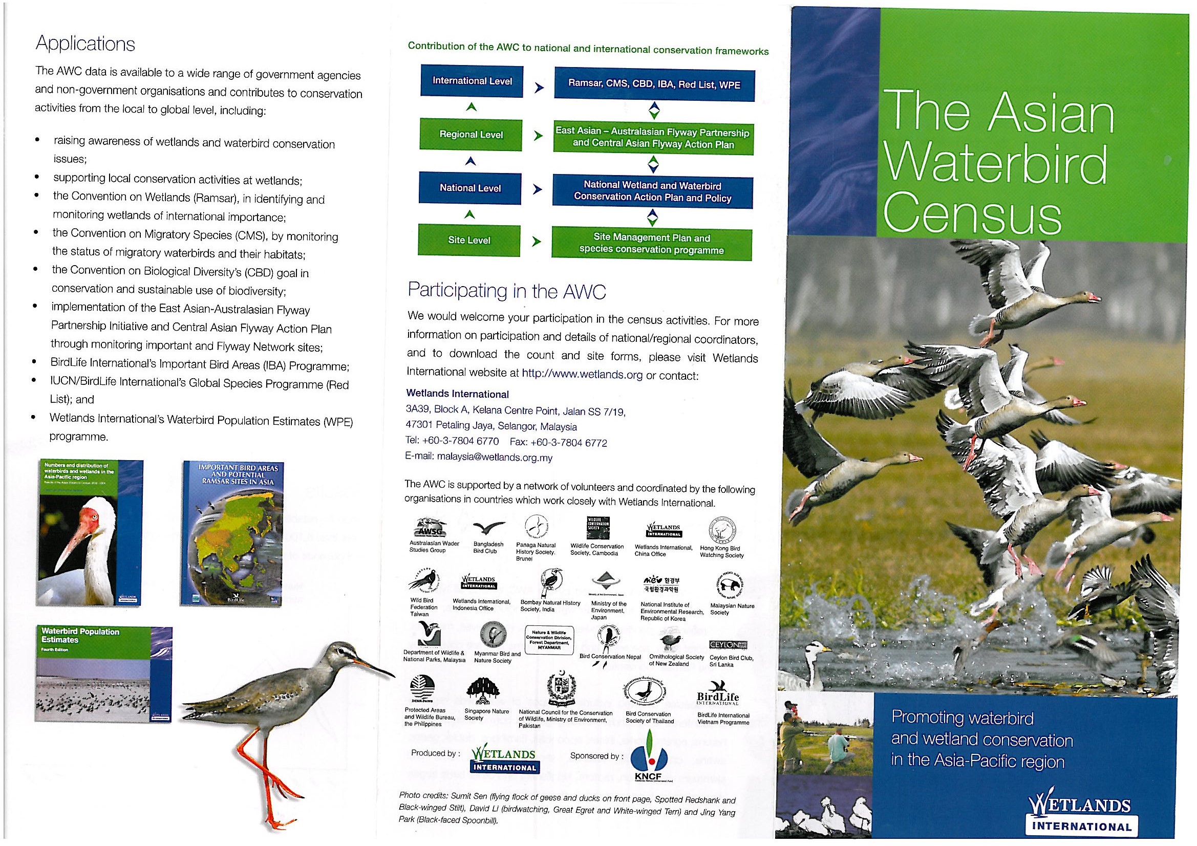 the asian waterbird census brochure wetlands international census flyer