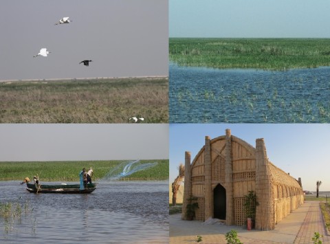 Marshlands of Southern Iraq