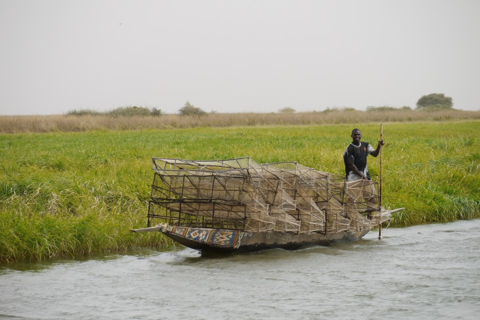 Inner Niger Delta fisherman with nets