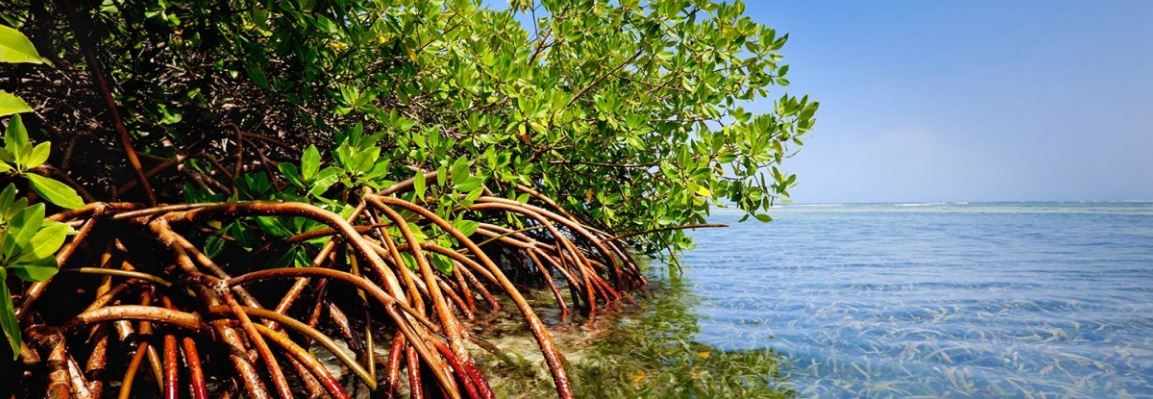 home office south africa