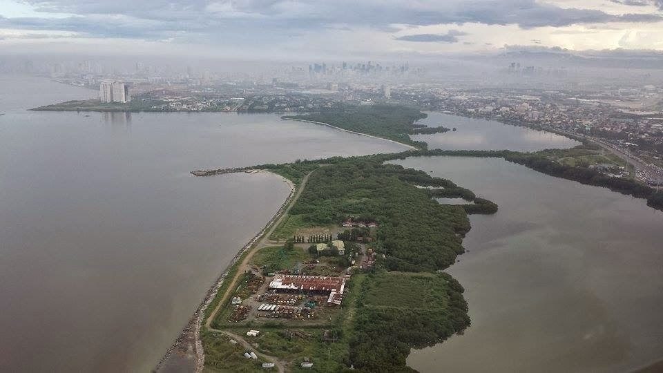 Aerial view of the Las Piñas-Parañaque Ramsar Site