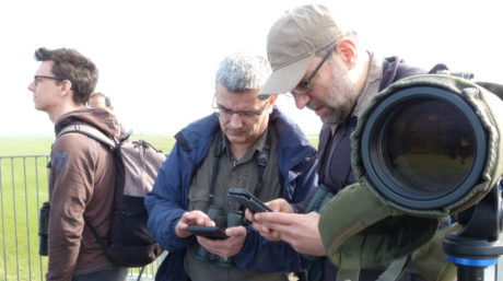 Bird counters with a telescope, cameras, and phones