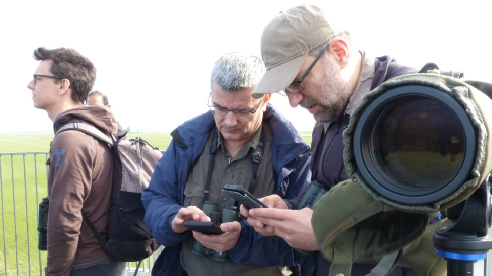 Bird counters with a telescope, cameras, and phones