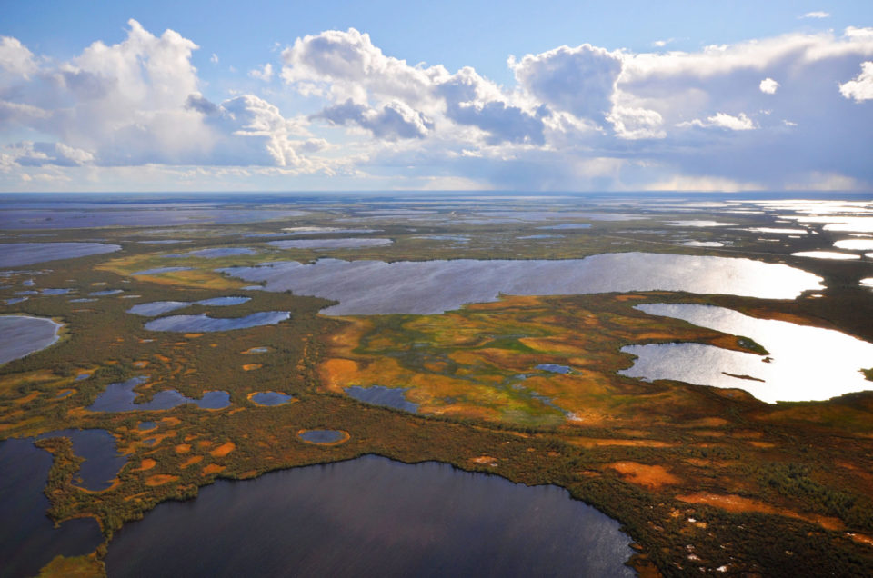 Wetlands in Western Siberia. Photo by Andrey Sirin.