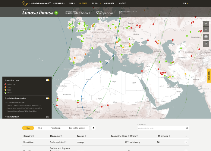 Screenshot of the Critical Sites Network Tool showing godwits