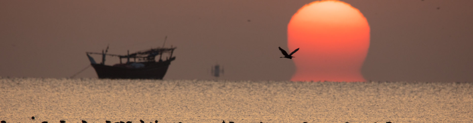 Sunset with a boat and waterbirds