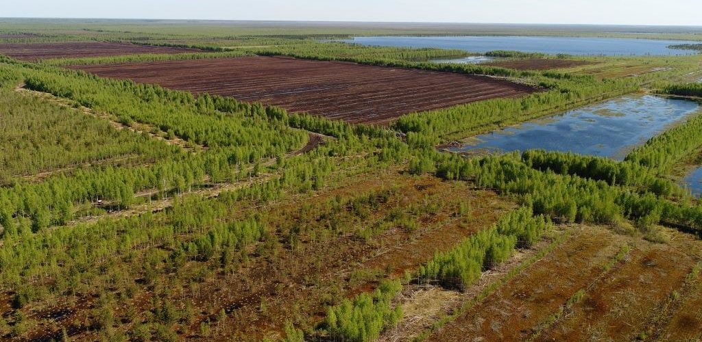 Peatland landscape in Russia