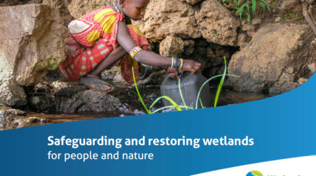 Cover of a brochure about Wetlands International showing a child gathering water among rocks