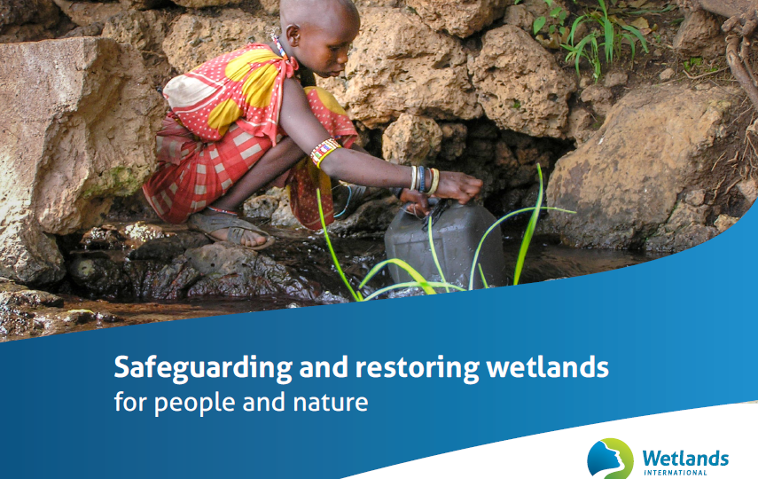 Wetlands International General Brochure Wetlands International Wetlands International General Brochure Wetlands International