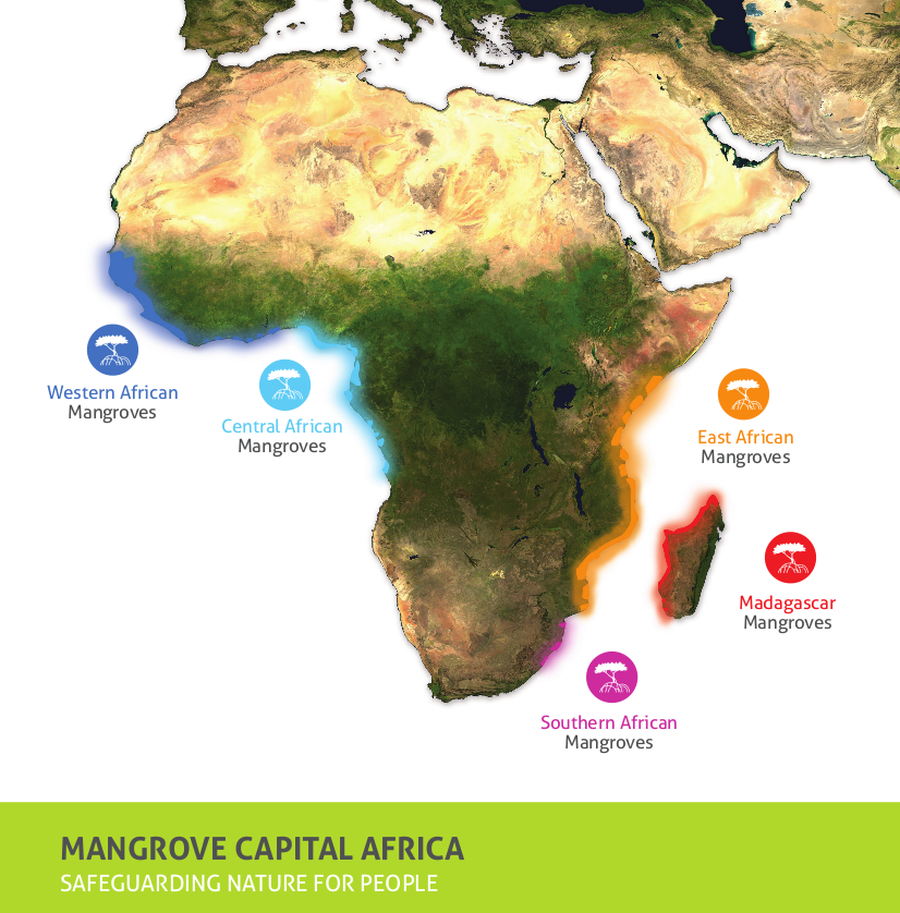 A satellite map of Africa showing mangrove 'hotspots'