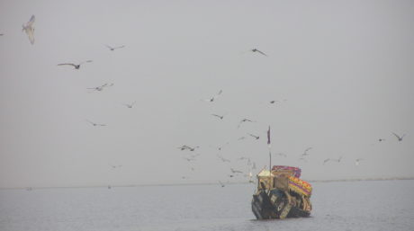 Birds and a boat in Mali