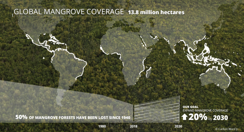 GMA-Mangrove-Map