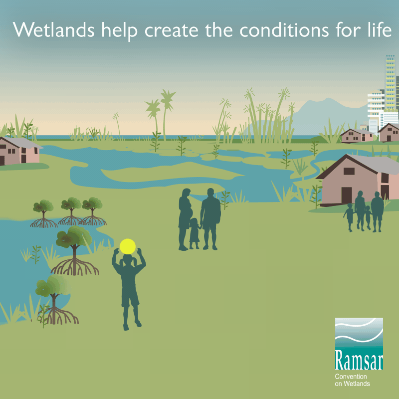 World Wetlands Day Wetlands Biodiversity Matters Wetlands International