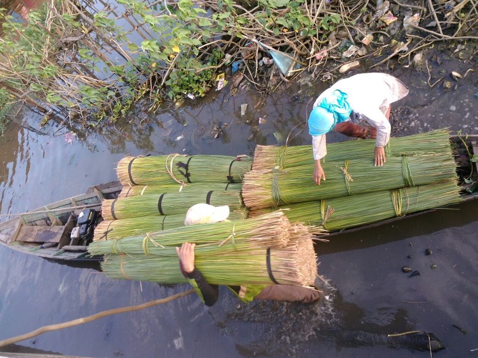 Peatlands Wetlands International