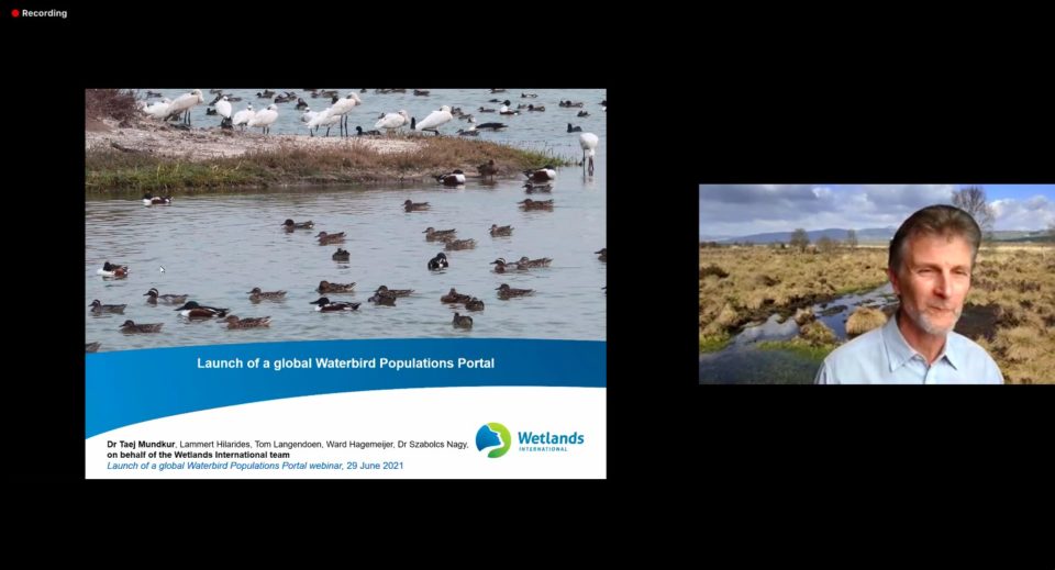 Wetlands International launches new online portal for the world’s latest data on waterbird populations