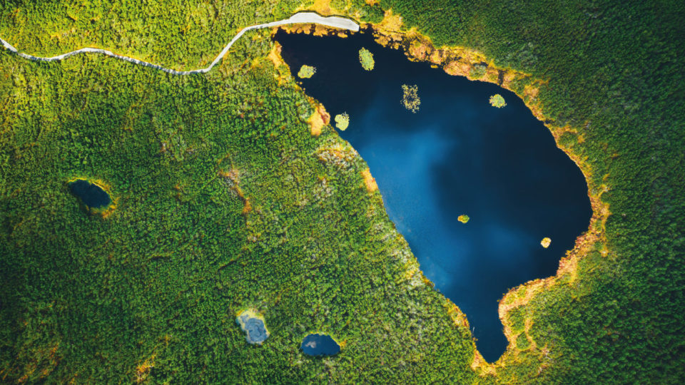 Aerial view on picturesque mountain lake (Lake Ribnisko jezero, Slovenia).