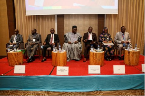 Opening ministerial session (Two Ministers from Mali, basin organisations and WISO)