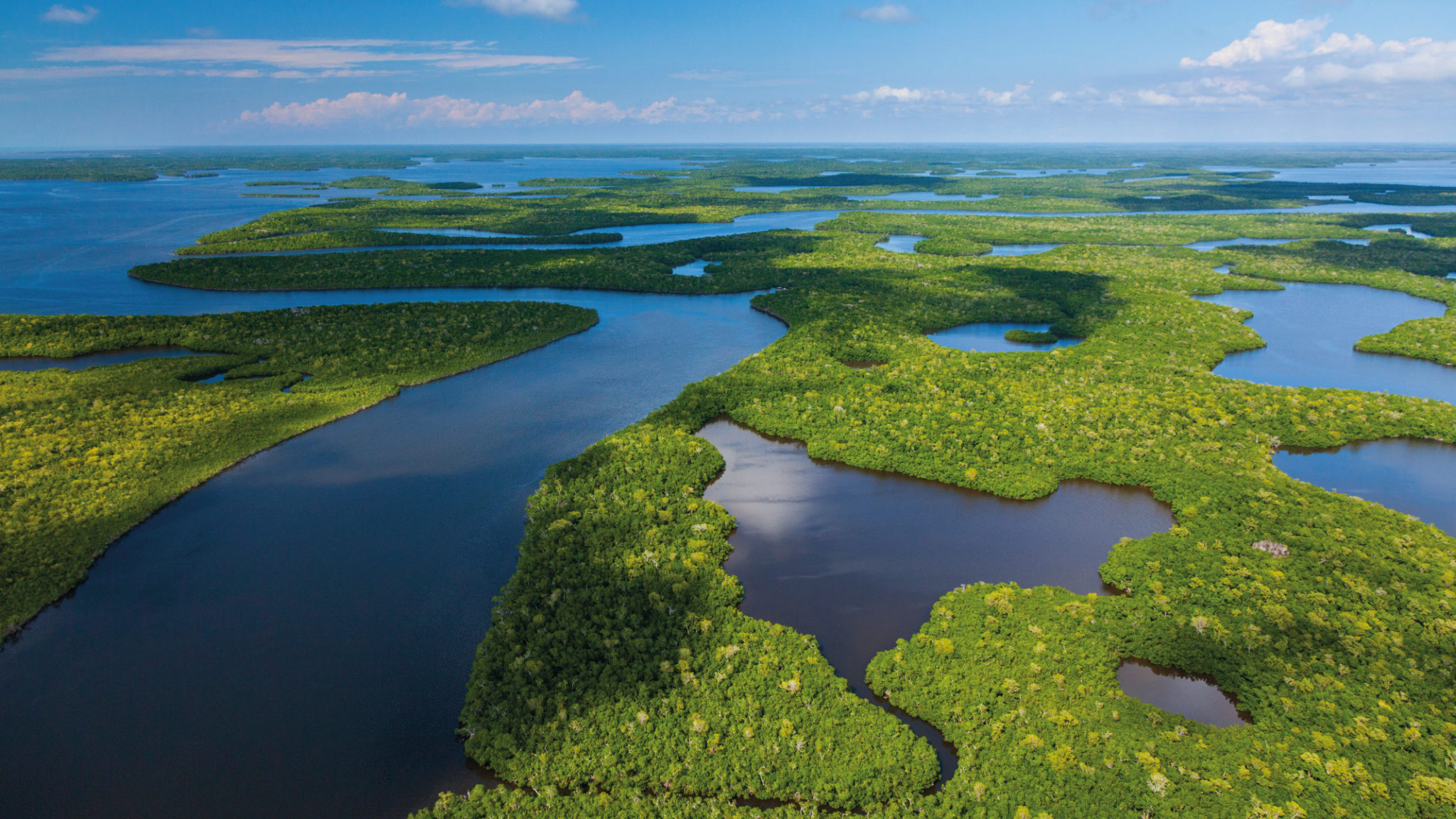 Three reasons we need immediate action for wetlands Wetlands