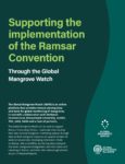 Supporting-the-implementation-of-the-Ramsar-convention-through-GMW - Policy Paper
