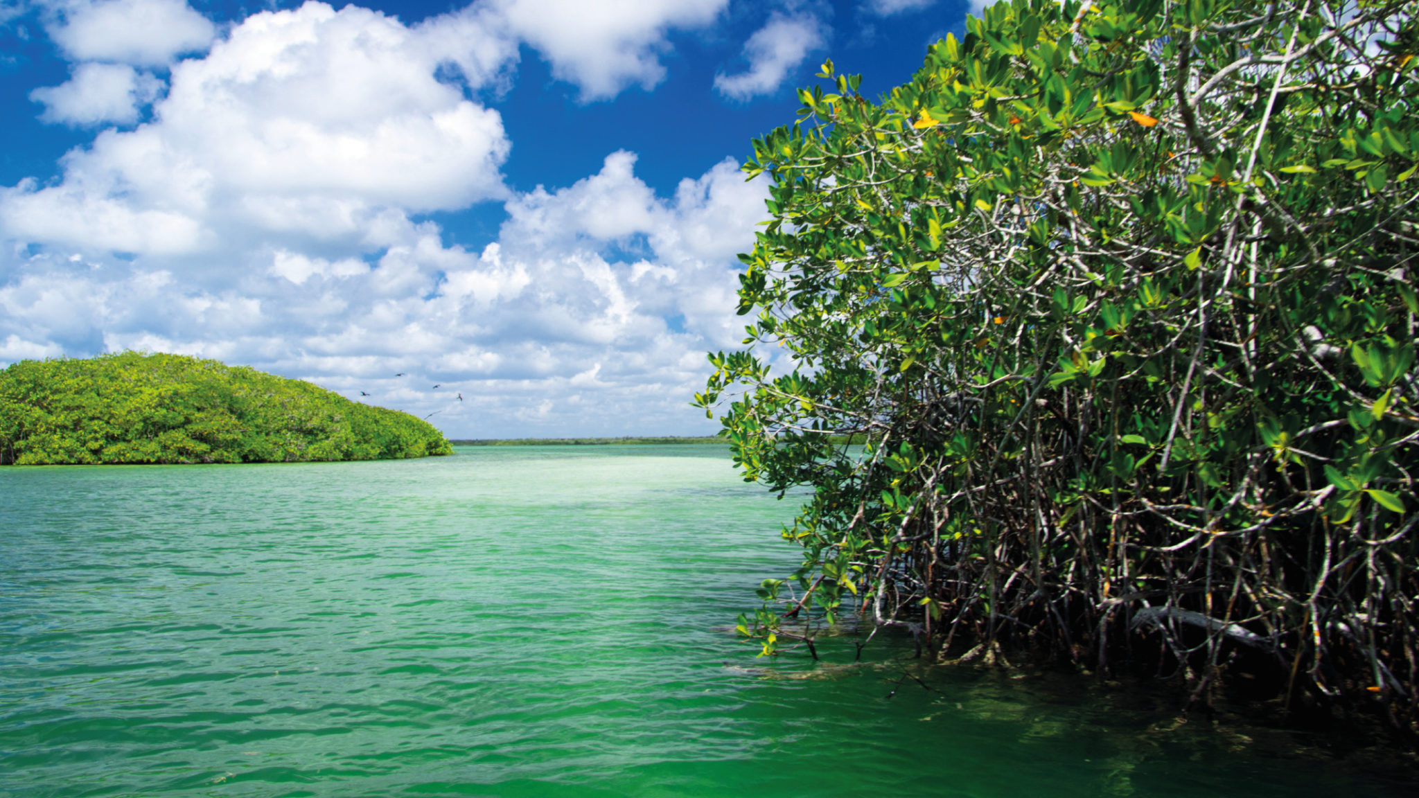 Supporting the implementation of the Ramsar convention through the ...
