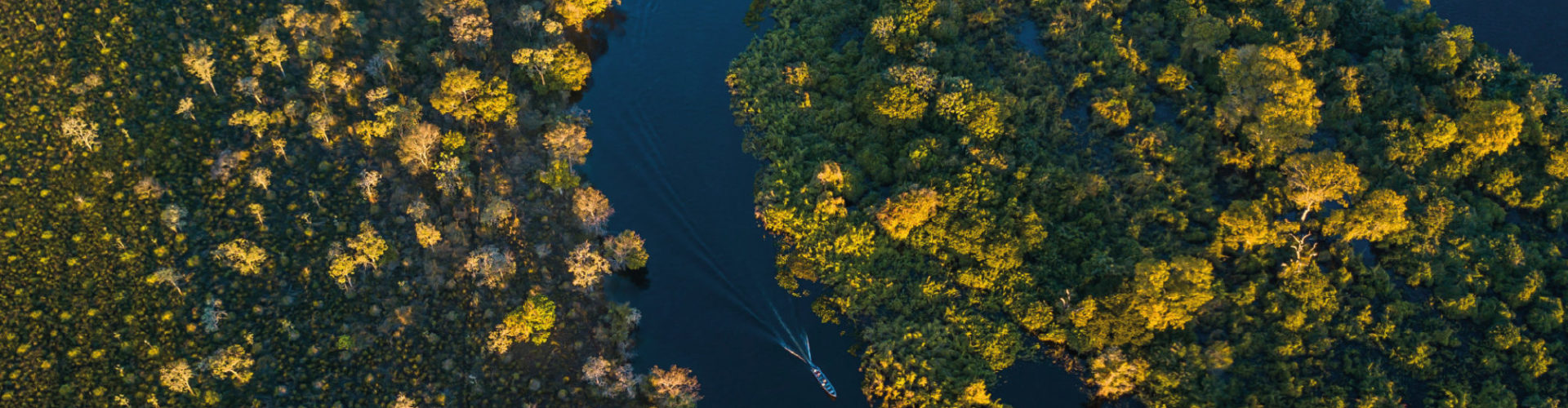 Miranda River photographed in Corumbá, Mato Grosso do Sul. Pantanal Biome. Picture made in 2017. By Leonardo