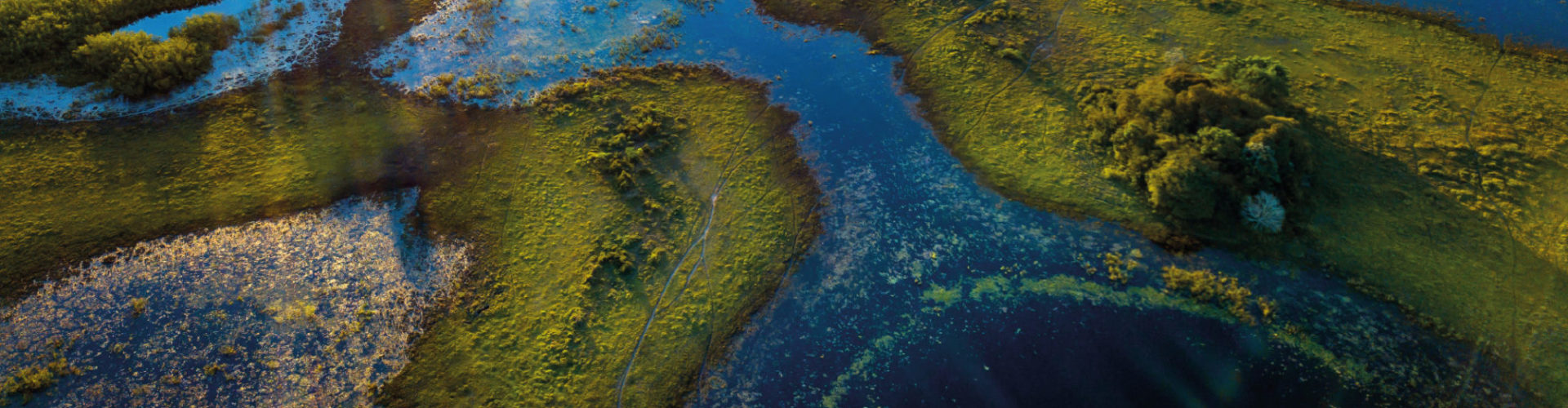 Post-2020 Global Biodiversity Framework: Ensuring protection and restoration of Inland Waters
