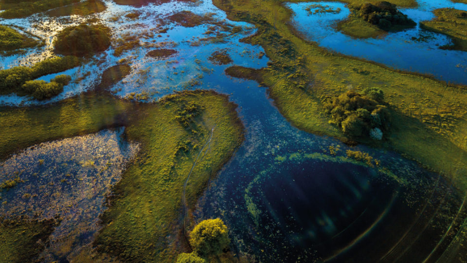 Post-2020 Global Biodiversity Framework: Ensuring protection and restoration of Inland Waters