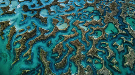 Flood plains