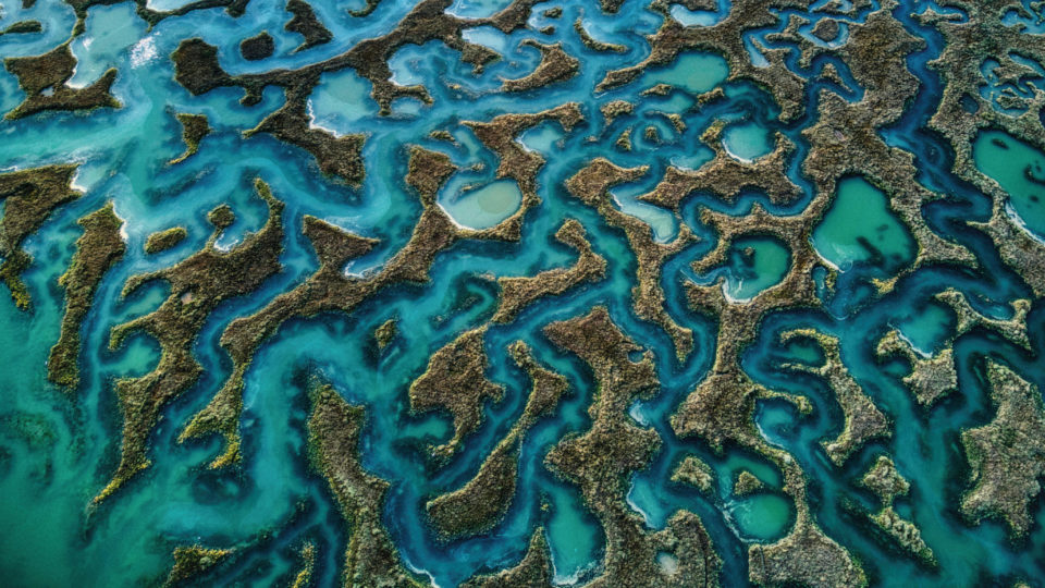 Flood plains