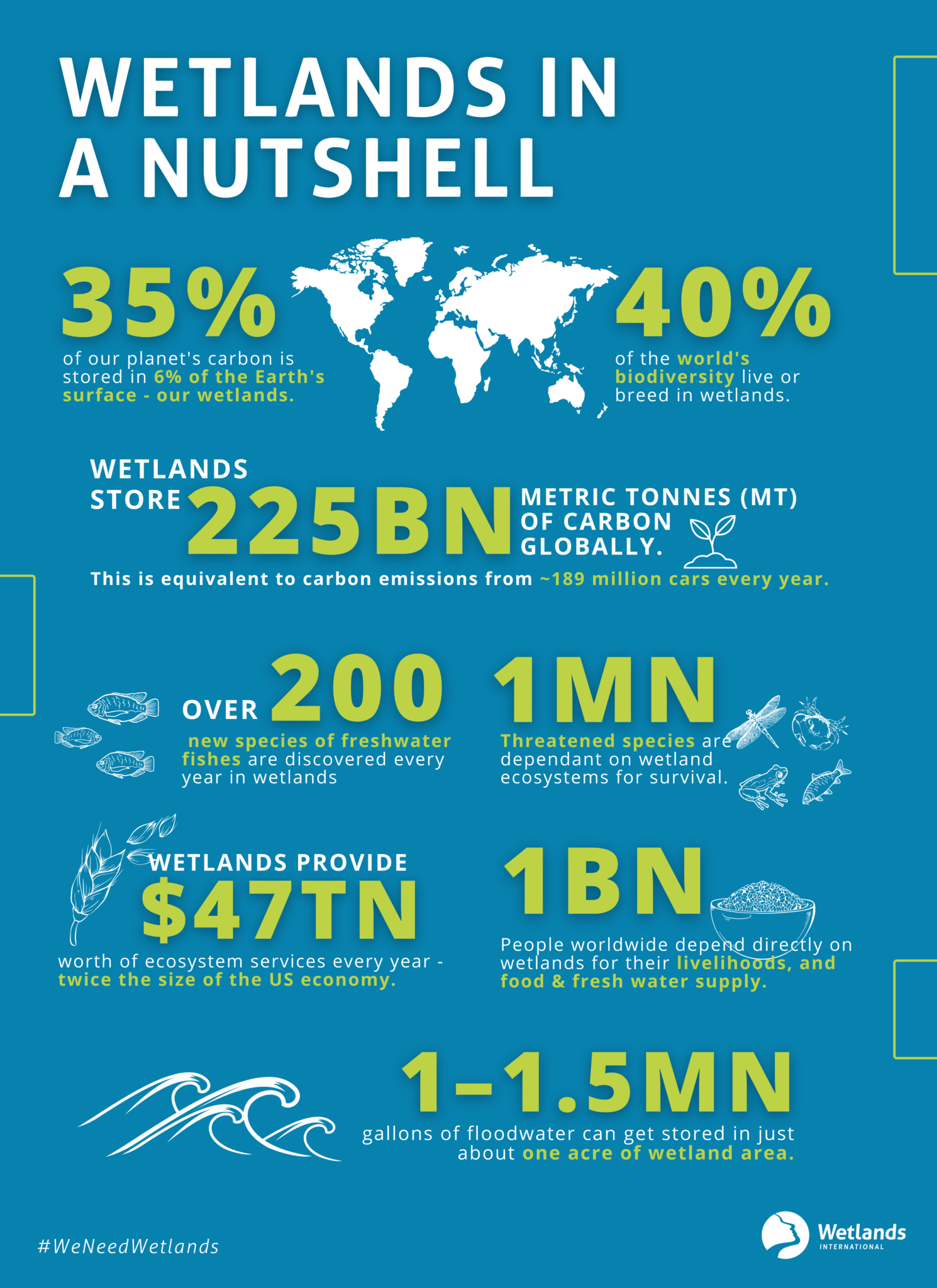 Wetlands in a Nutshell Infographic Wetlands International