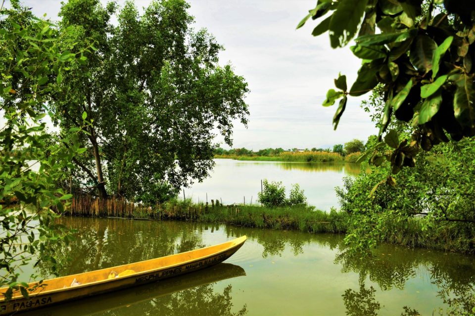 A TPNTP pilot site in Malolos, Bulacan for the demonstration of the Ecological Mangrove Restoration (EMR) and Associated Mangrove Aquaculture (AMA) approaches to mangrove reforestation in the north coast of Manila Bay.