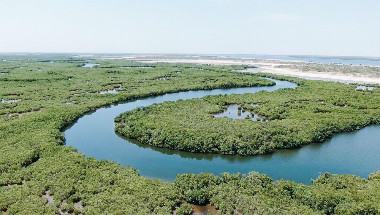 Wetlands for Resilience A ten year global wetland ambition Wetlands International