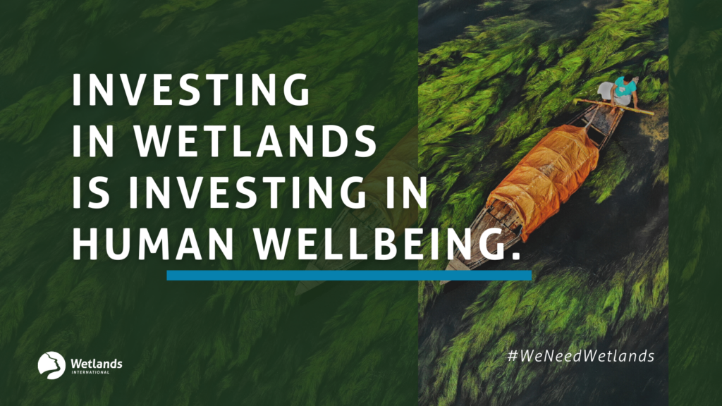 World Wetlands Day: Wetlands & Human Wellbeing - Wetlands International