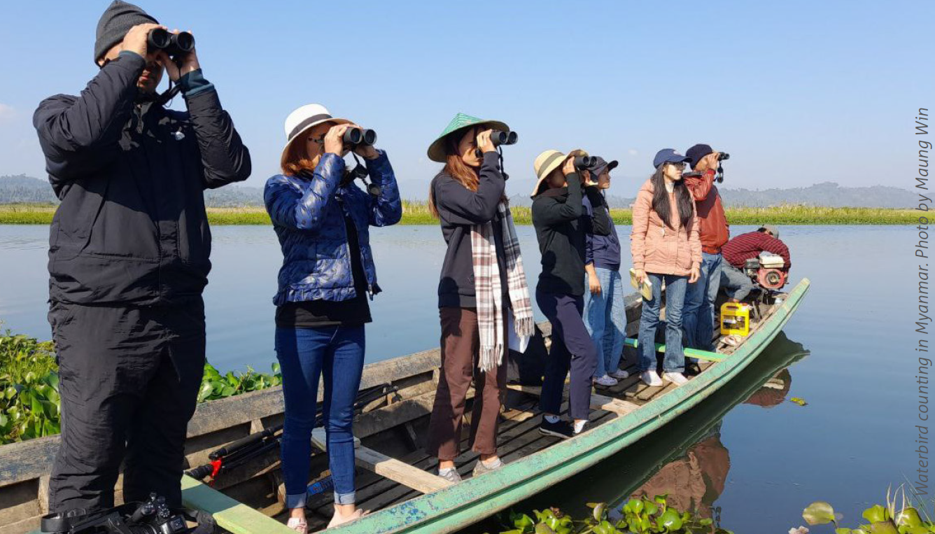 Counting for Conservation – 60th International Waterbird Census