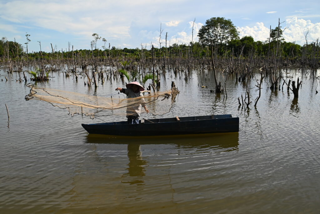 Image - source https://www.wetlands.org/blog/how-global-mangrove-watch-empowers-local-action-in-indonesia/