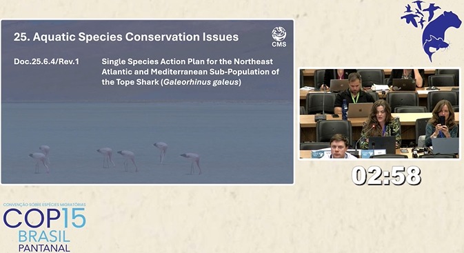 Wetlands Diary: Daily updates from CMS COP15