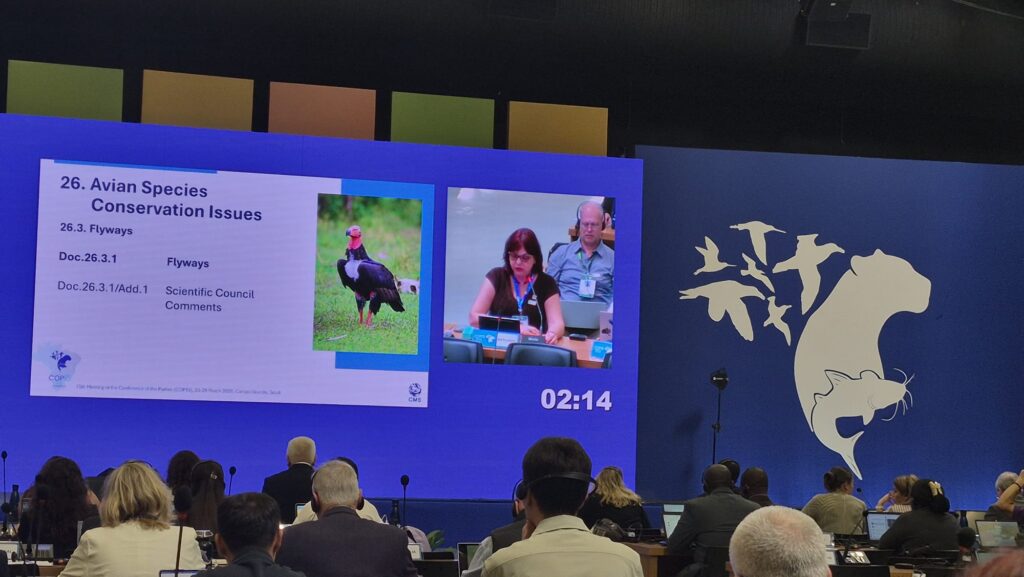 Wetlands Diary: Daily updates from CMS COP15