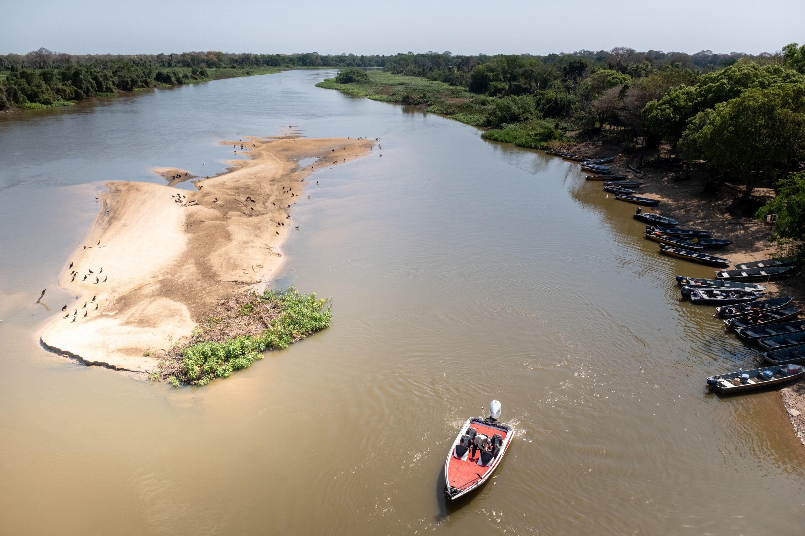 Annual Review 2025 - Wetlands International