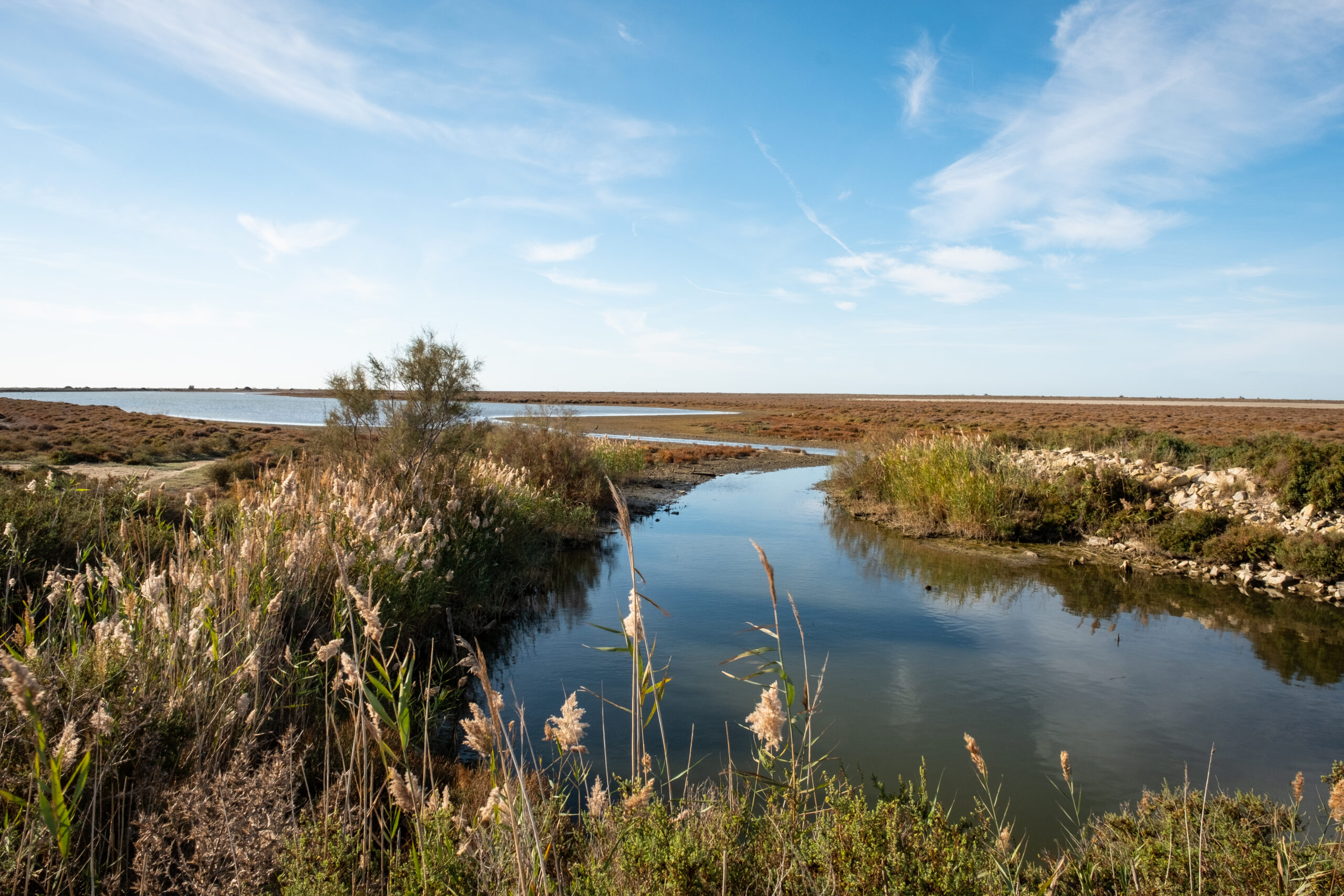 Camargue: a jewel under pressure 