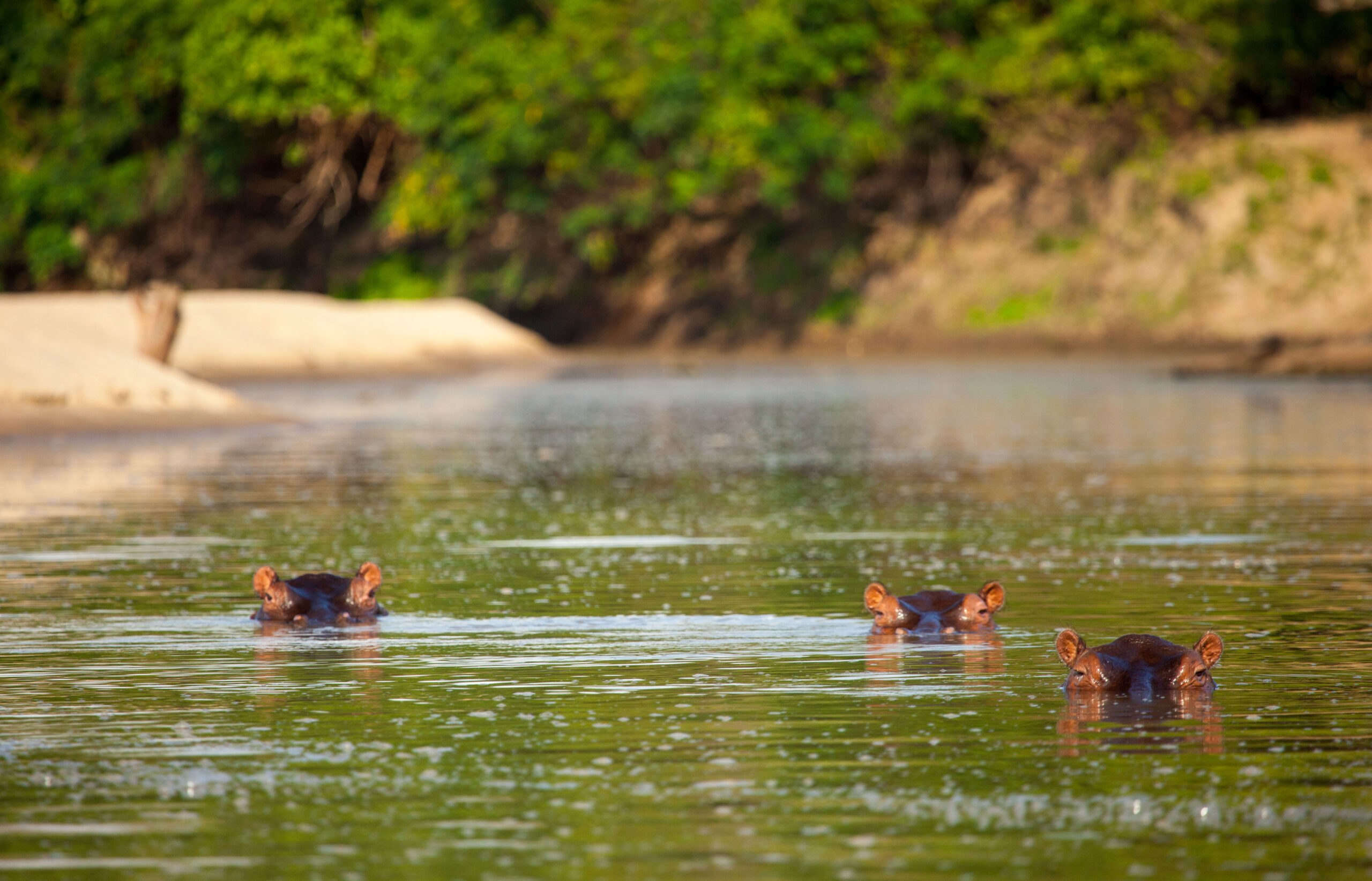 Wetland action to accelerate implementation of the Global Biodiversity Framework