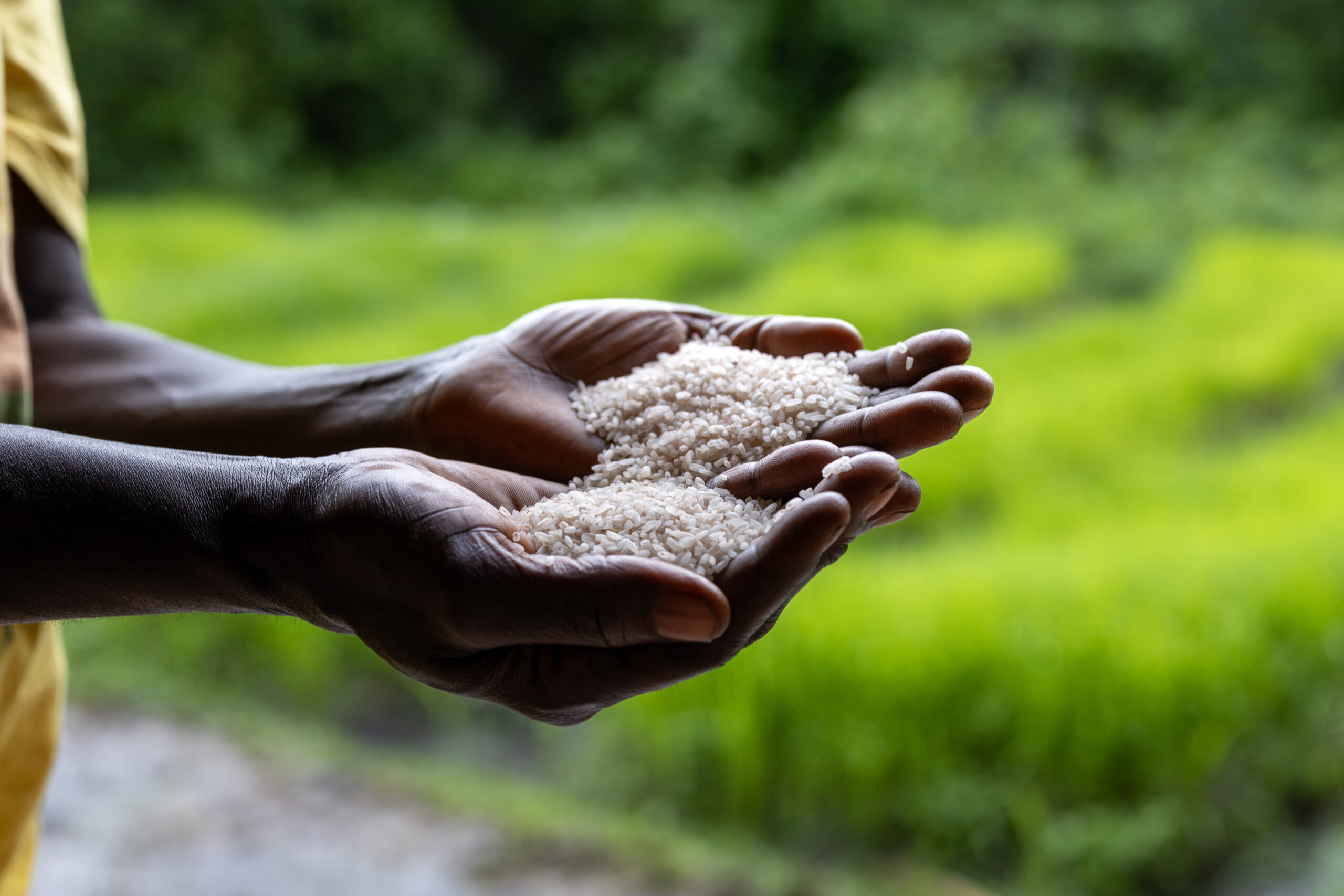 Towards a Wetland-Positive Economy - Wetlands International