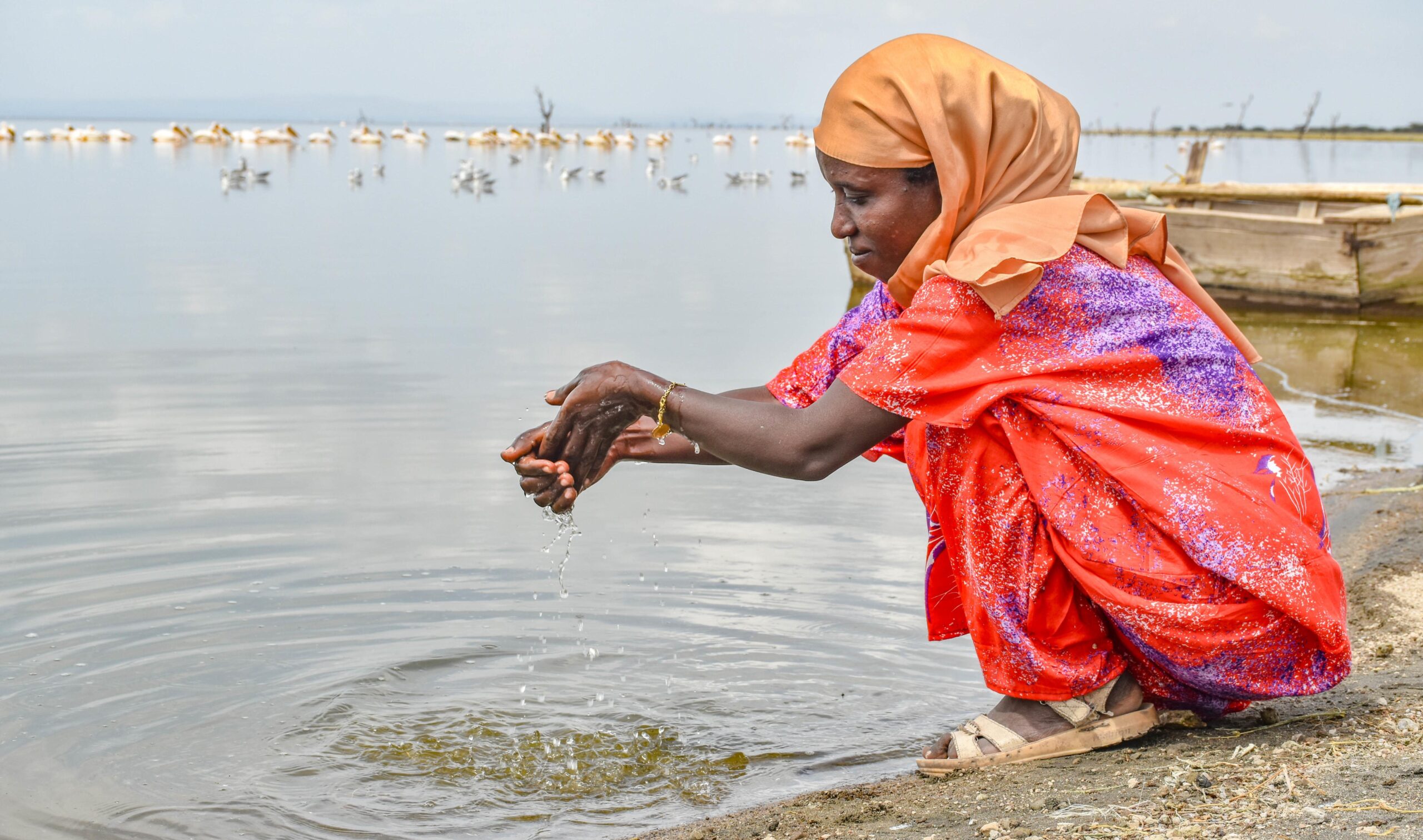Restoring resilience in Lake Ziway: Innovative partnership to boost water security, livelihoods and sustainable development